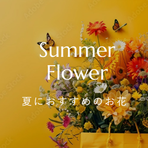 夏におすすめのお花